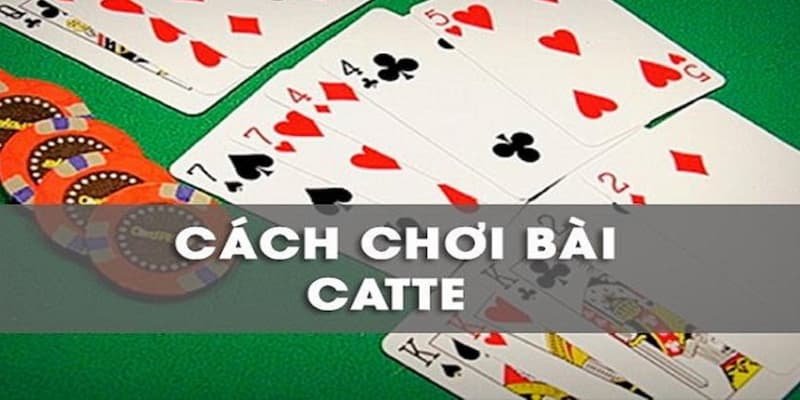 cách chơi game bài catte